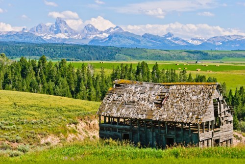 A weathered barn sits in a lush green field, with snow-capped mountains in the background under a blue sky.