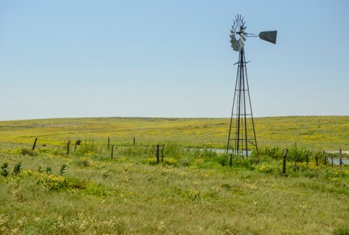 A windmill stands in a grassy field with yellow wildflowers under a clear blue sky.