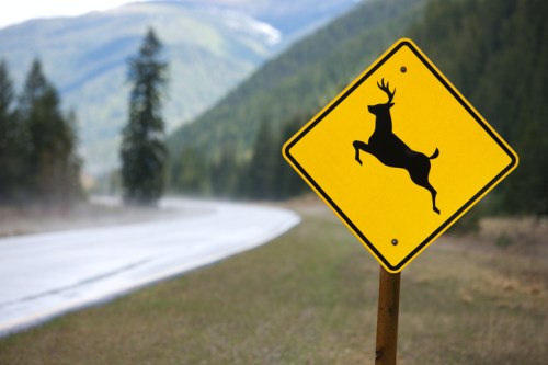 A yellow deer crossing sign stands beside a winding road with mountains in the background.