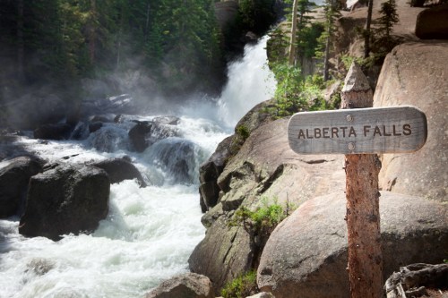 A wooden sign reading "Alberta Falls" beside rushing water and rocky terrain in a lush, green forest.