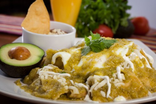 A plate of enchiladas topped with green sauce, cheese, and cilantro, served with avocado, chips, and a small bowl of salsa.