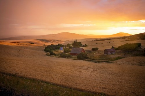 A serene landscape at sunset, featuring rolling golden fields, a red barn, and distant hills under a colorful sky.