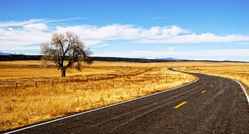 A winding road stretches through a golden field, with a solitary tree and distant mountains under a blue sky.
