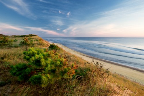 A serene coastal landscape with grassy dunes, pine trees, and gentle waves under a clear sky at sunset.