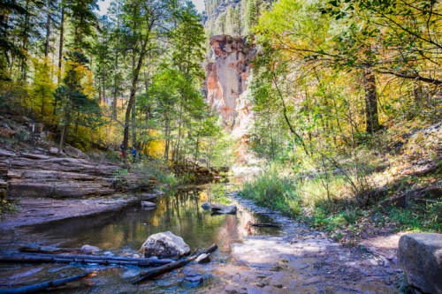 A serene forest scene with a clear stream, rocky banks, and tall trees, illuminated by sunlight filtering through the leaves.