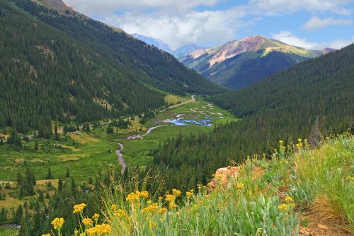 A scenic mountain valley with a winding river, lush greenery, and wildflowers in the foreground under a partly cloudy sky.
