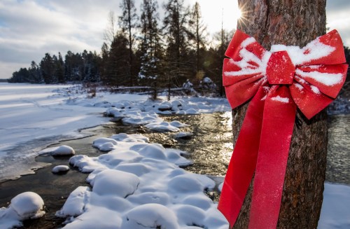 A red bow on a snow-covered tree by a frozen stream, with a winter landscape and sunlight in the background.