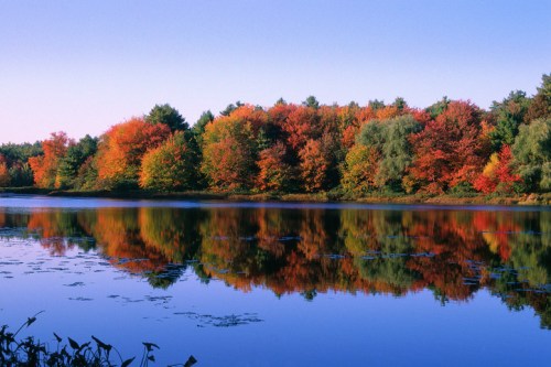 A serene lake reflecting vibrant autumn trees under a clear blue sky.