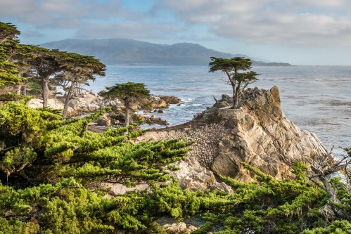 A rocky coastline with lush greenery and trees, overlooking a calm sea and distant mountains under a cloudy sky.