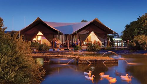 A luxurious tented lodge by a serene pond, with ducks swimming and a peaceful evening sky.