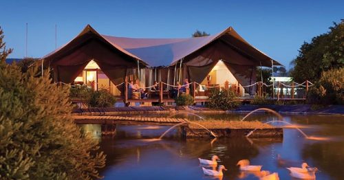 A cozy tent lodge by a pond, with ducks swimming and a serene evening atmosphere.