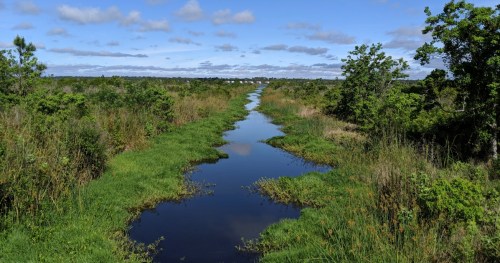 A serene waterway meanders through lush greenery under a blue sky with scattered clouds.