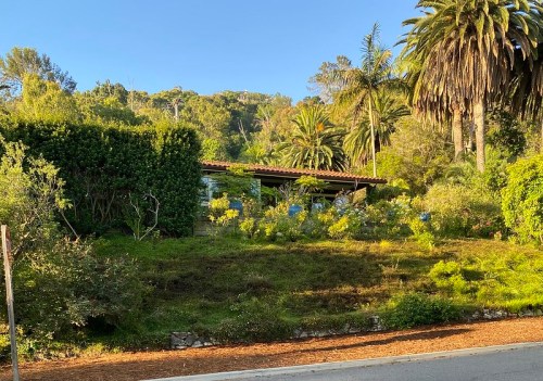 A cozy house surrounded by lush greenery and palm trees, set against a hillside under a clear blue sky.
