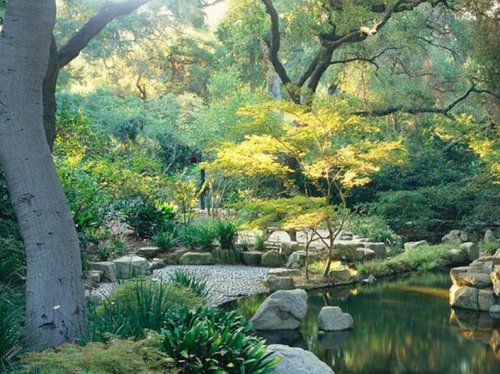 A serene garden scene with lush greenery, a pond, and large rocks, illuminated by soft sunlight filtering through trees.