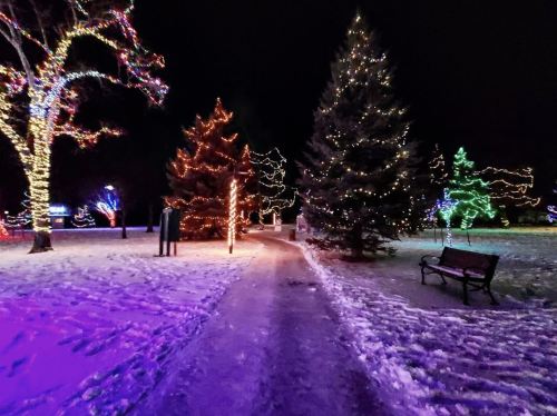 A snowy path illuminated by colorful holiday lights, lined with trees and benches in a festive park at night.