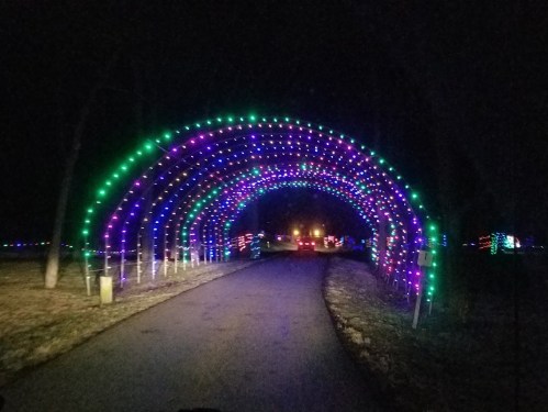 A colorful light archway in a dark park, illuminating a pathway with green and purple lights.