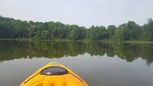 A yellow kayak on calm water, reflecting lush green trees and a serene landscape in the background.
