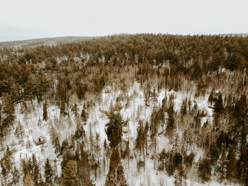 Aerial view of snow-covered forest with scattered cabins among tall trees.