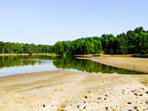 A serene riverbank scene with sandy shores and lush green trees reflecting in calm water under a clear blue sky.