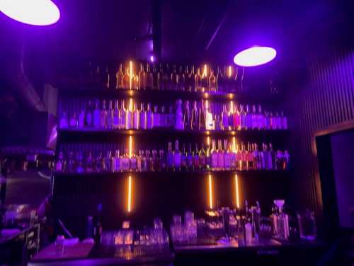 A dimly lit bar with a shelf of colorful bottles illuminated by purple lights.