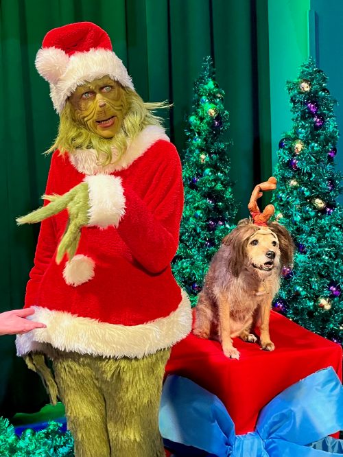 The Grinch in a Santa outfit poses next to a dog wearing reindeer antlers, with festive trees in the background.