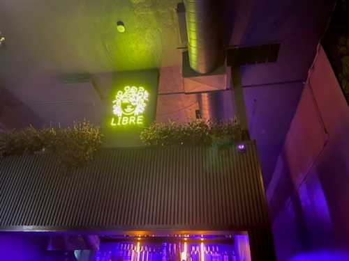 A dimly lit bar interior featuring a neon "LIBRE" sign and hanging plants above a bar counter.