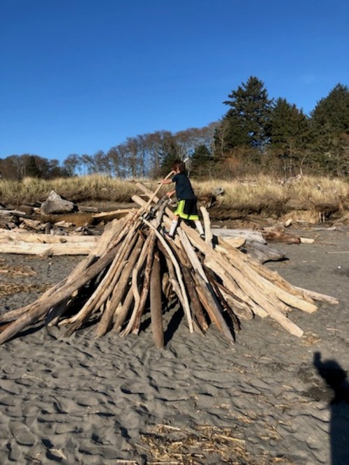 A child stands on a large pile of driftwood at the beach, with trees and blue sky in the background.