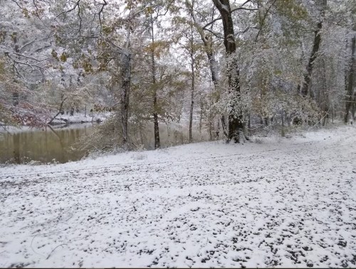 A snowy landscape by a river, with trees covered in snow and a serene, wintery atmosphere.