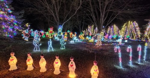 A festive display of colorful holiday lights, featuring illuminated figures, trees, and candy canes in a dark garden.