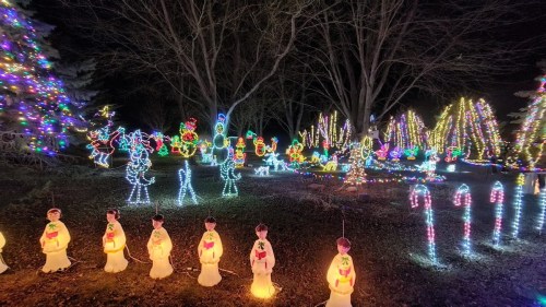 A festive display of colorful holiday lights, featuring illuminated figures, trees, and candy canes in a dark setting.
