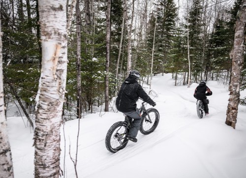 Two cyclists ride fat bikes through a snowy forest trail surrounded by tall trees.