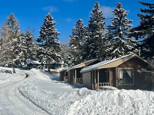 Snow-covered cabins nestled among tall evergreen trees under a clear blue sky, with a winding path leading through the snow.