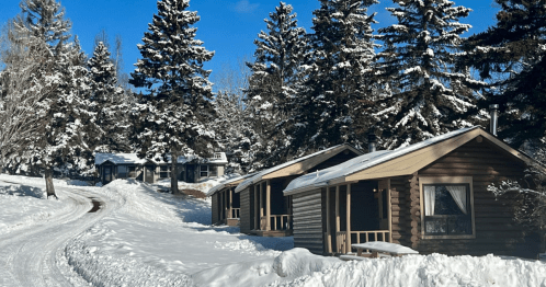 Snow-covered cabins nestled among tall evergreen trees under a clear blue sky. A winding path leads through the scene.