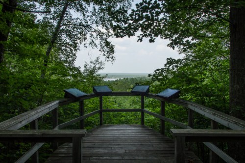 A wooden observation deck surrounded by trees, overlooking a distant lake and cloudy sky.