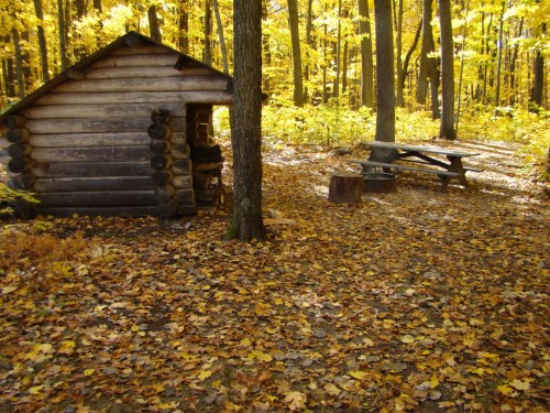 A rustic wooden cabin surrounded by vibrant autumn foliage and a picnic area with a table and logs.