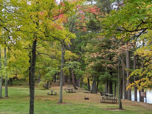 A serene park scene with colorful autumn trees, picnic tables, and a calm water view in the background.