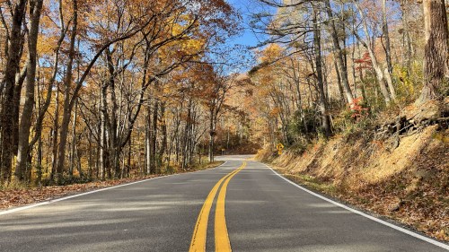 Winding road through autumn trees with colorful leaves under a clear blue sky.