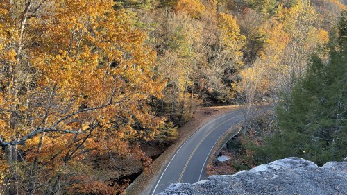 A winding road surrounded by vibrant autumn foliage in a scenic landscape.