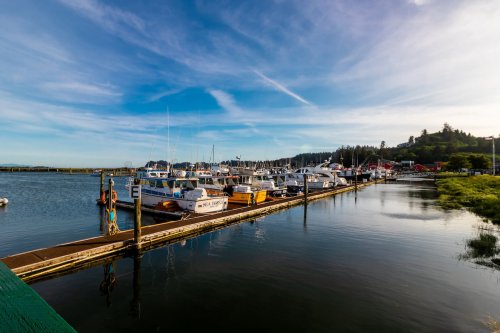 A serene marina with boats docked along a wooden pier, surrounded by calm water and lush greenery under a clear sky.