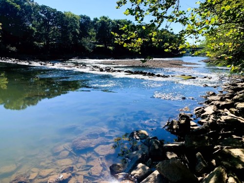 A serene river scene with clear water, rocky shore, and lush green trees under a bright blue sky.
