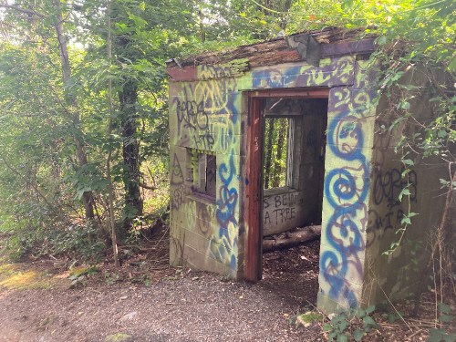 Abandoned structure covered in graffiti, surrounded by dense greenery and trees.