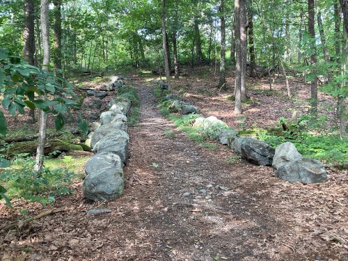 A dirt path winding through a forest, lined with large stones and surrounded by lush greenery and trees.