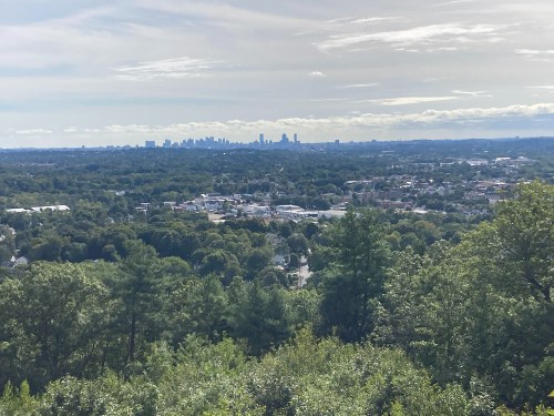 A panoramic view of a city skyline in the distance, surrounded by green trees and rolling hills under a cloudy sky.