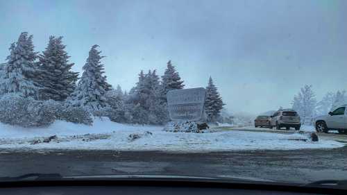 Snow-covered landscape with frosted trees and a sign for a national forest, viewed from inside a car.