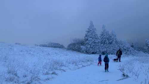 A snowy landscape with two children and an adult walking a dog along a path surrounded by frosted trees.