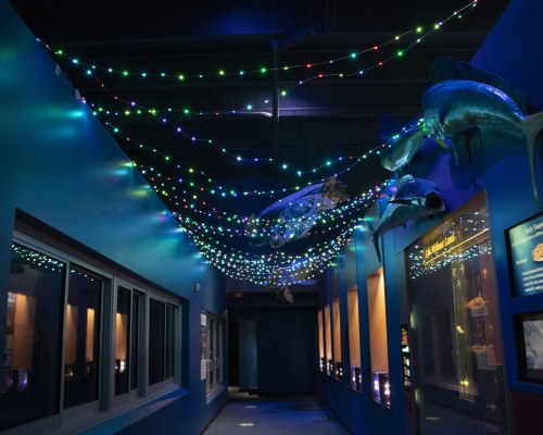 A dimly lit hallway with colorful string lights and marine-themed decorations hanging from the ceiling.