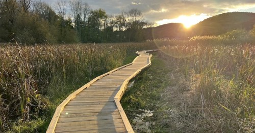 A wooden boardwalk winds through tall grass, leading towards a sunset over distant hills.