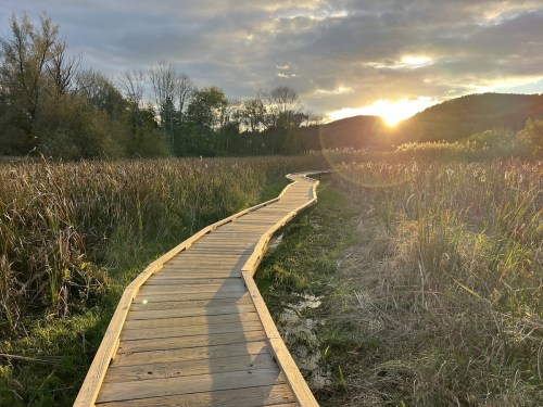 A wooden boardwalk winds through a marsh at sunset, with trees and hills in the background.