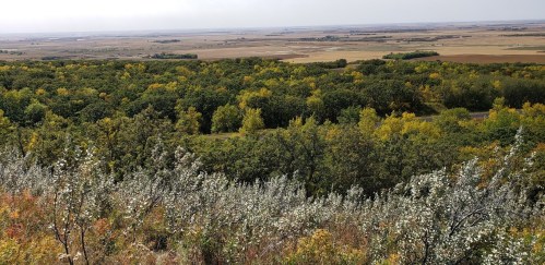 A panoramic view of rolling hills and trees with autumn foliage, overlooking a vast landscape of fields and valleys.