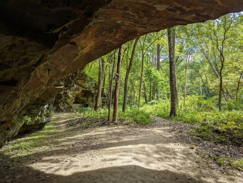 A serene forest scene with a rocky overhang, leading to a dirt path surrounded by lush green trees.
